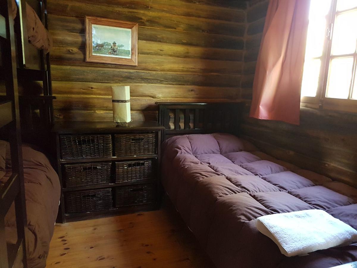 Posta Nehuen Cabanas Potrerillos Ngoại thất bức ảnh